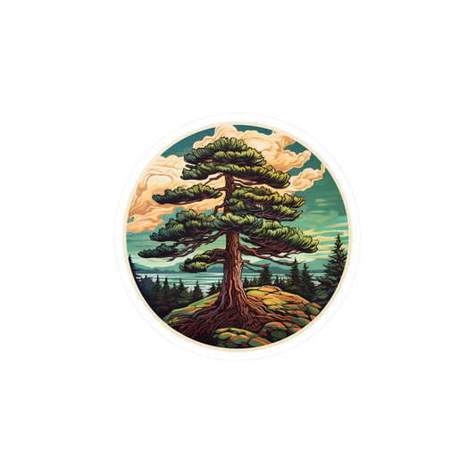 Redwood Sequoia Sticker