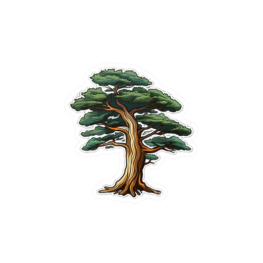 Redwood Sequoia Tree Sticker (5)