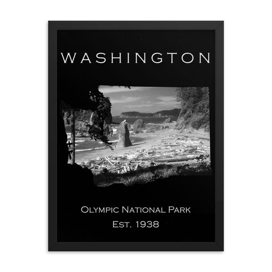 Olympic National Park - Black - Black and White - Framed