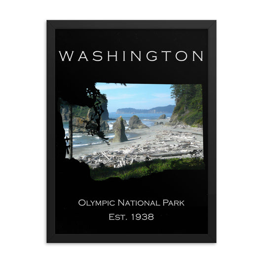 Olympic National Park - Black - Colored - Framed