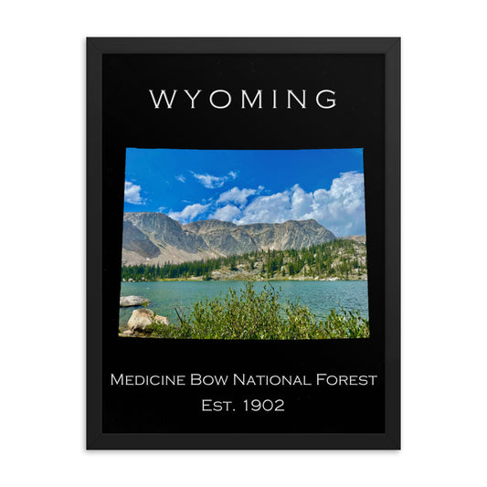 Medicine Bow National Forest - Black - Color - Framed