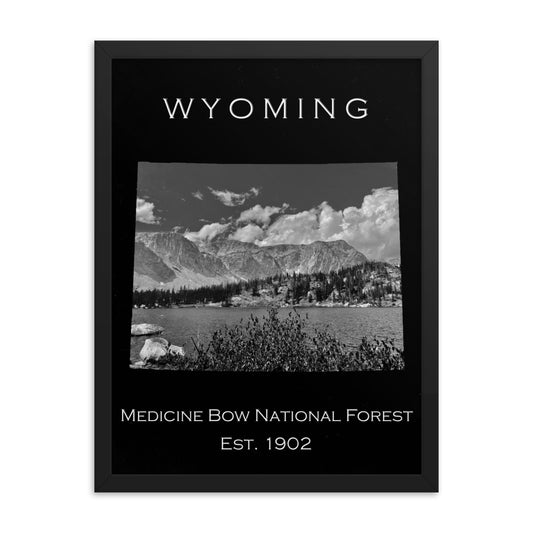 Medicine Bow National Forest - Black - Black and White - Framed