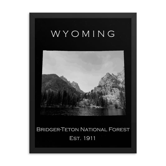 Bridger-Teton National Forest - Black - Black and White - Framed