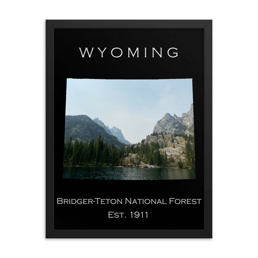 Bridger-Teton National Forest - Black - Color - Framed