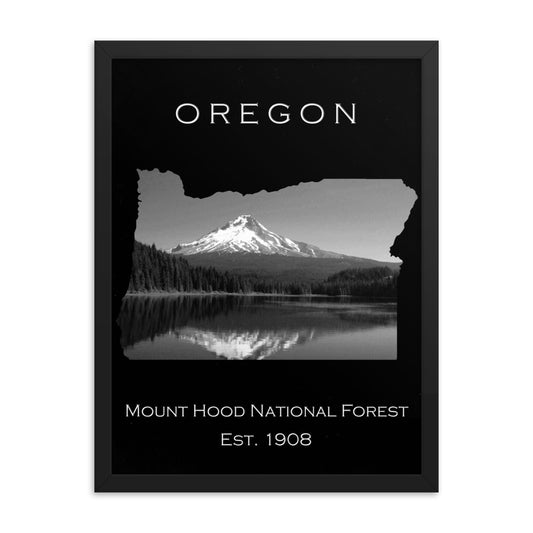 Mount Hood National Forest - Black - Black and White - Framed