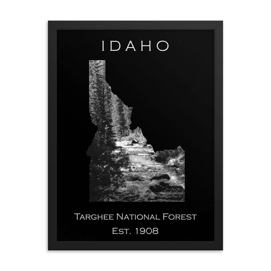 Targhee National Forest - Black - Black and White - Framed