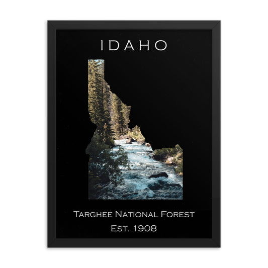 Targhee National Forest - Black - Color - Framed