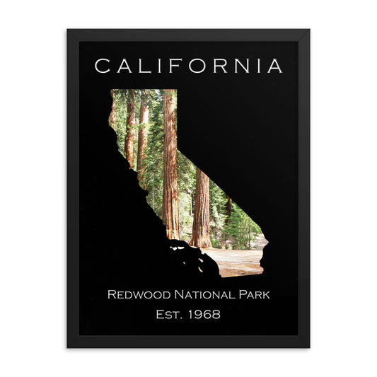 Redwood National Park - Black - Color - Framed