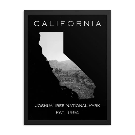 Joshua Tree National Park - Black - Black and White - Framed