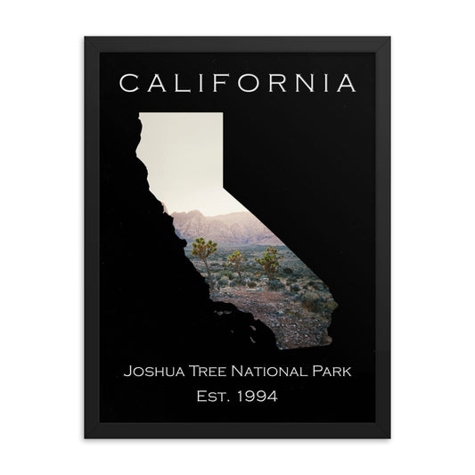 Joshua Tree National Park - Black - Color - Framed