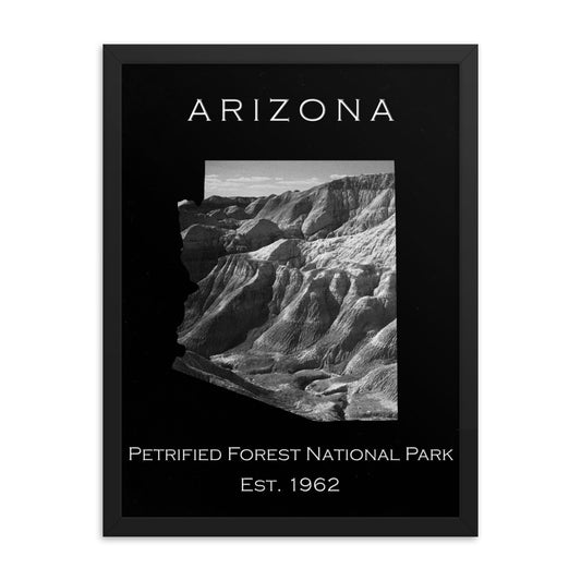 Petrified Forest National Park - Black - Black and White - Framed