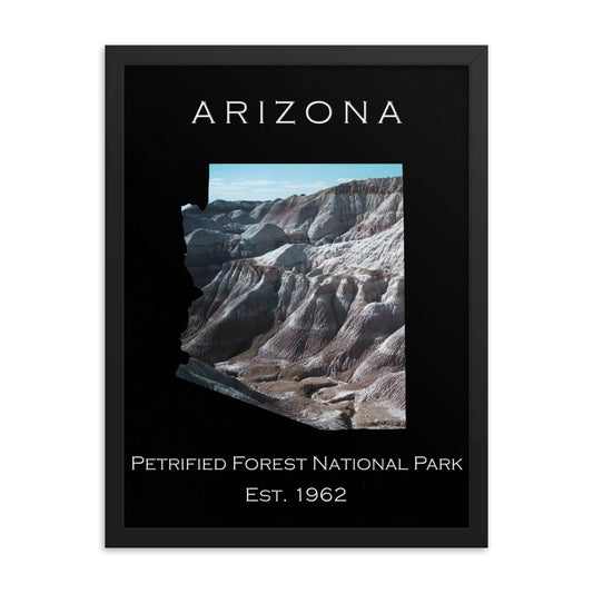 Petrified Forest National Park - Black - Color - Framed