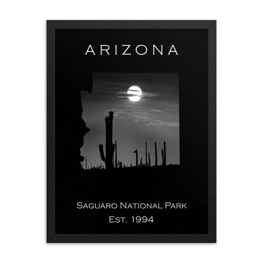 Saguaro National Park - Black - Black and White - Framed