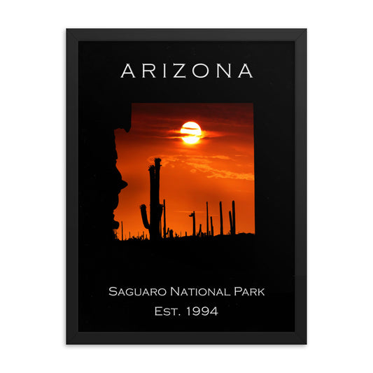 Saguaro National Park - Black - Color - Framed