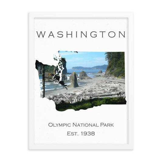 Olympic National Park - White - Colored - Framed