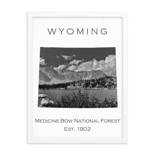 Medicine Bow National Forest - White - Black and White - Framed