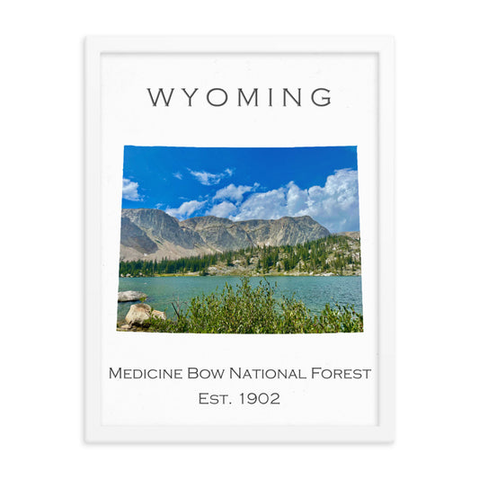 Medicine Bow National Forest - White - Color - Framed