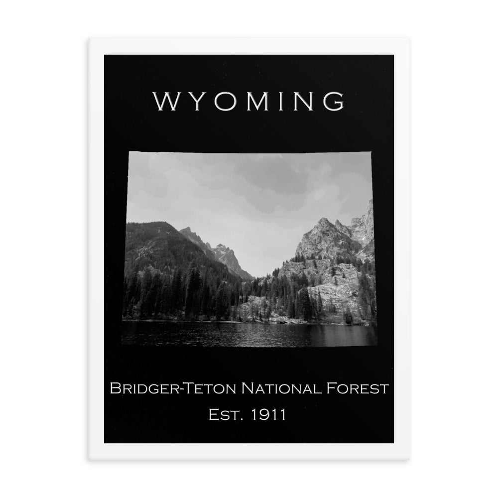 Bridger-Teton National Forest - Black - Black and White - Framed