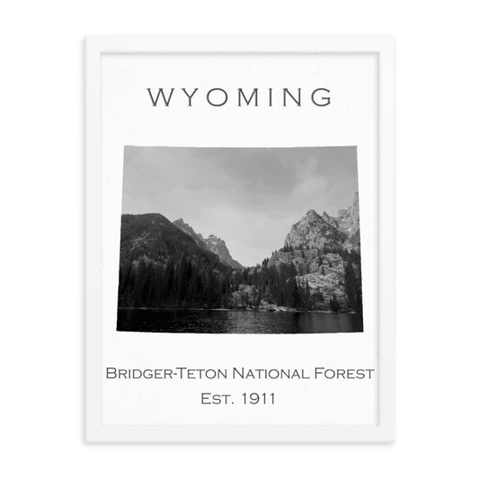 Bridger-Teton National Forest - White - Black and White - Framed