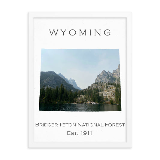 Bridger-Teton National Forest - White - Color - Framed