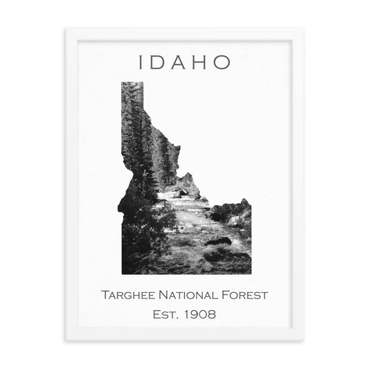 Targhee National Forest - White - Black and White - Framed