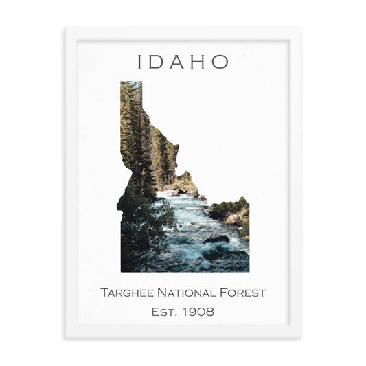 Targhee National Forest - White - Color - Framed