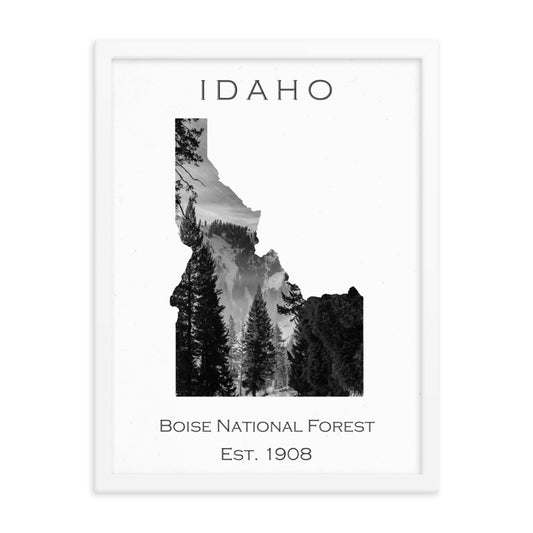 Boise National Forest - White - Black and White - Framed