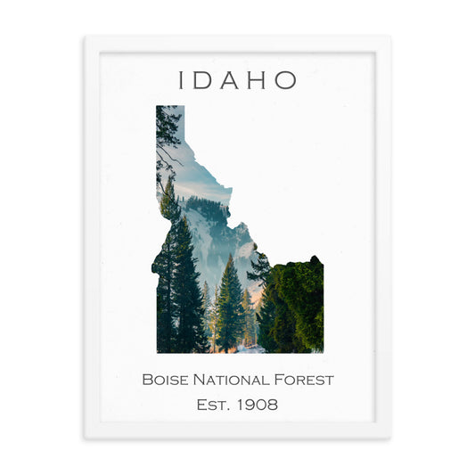 Boise National Forest - White - Color - Framed