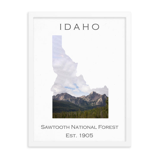 Sawtooth National Forest - White - Color - Framed