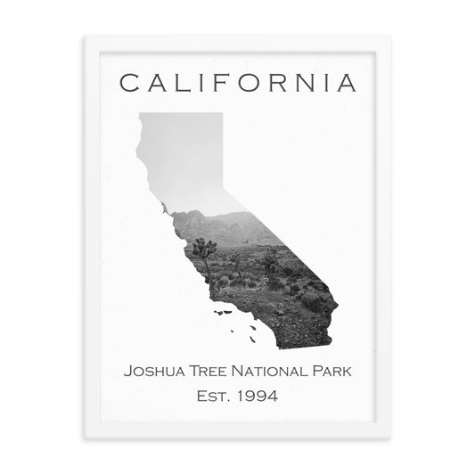 Joshua Tree National Park - White - Black and White - Framed