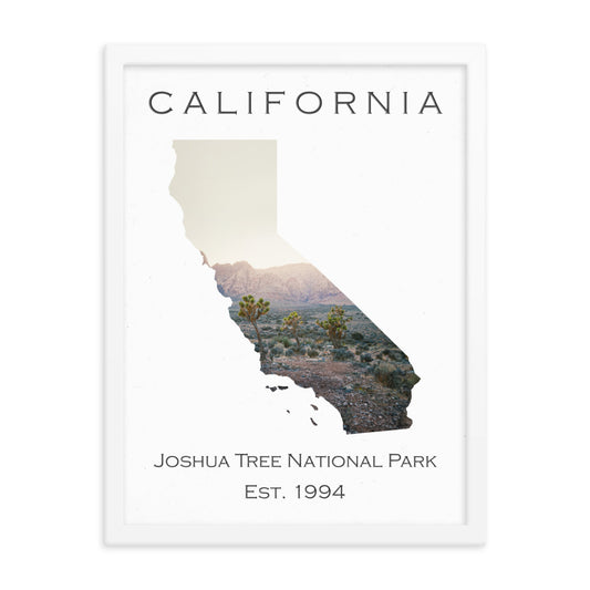 Joshua Tree National Park - White - Color - Framed