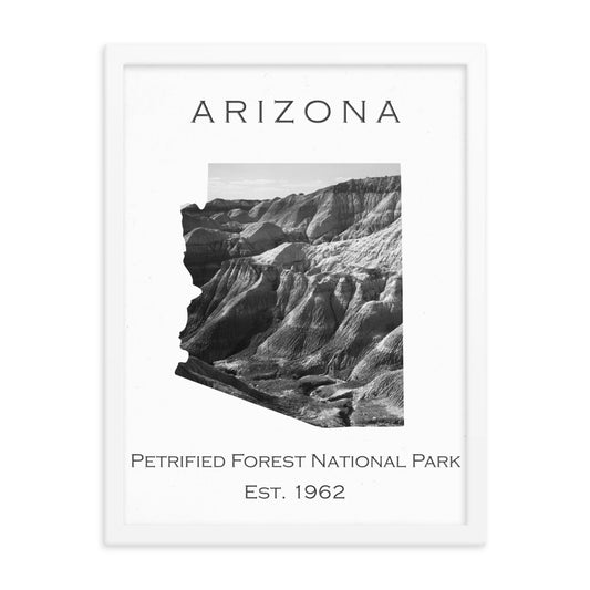 Petrified Forest National Park - White - Black and White - Framed