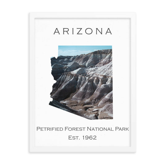 Petrified Forest National Park - White - Color - Framed