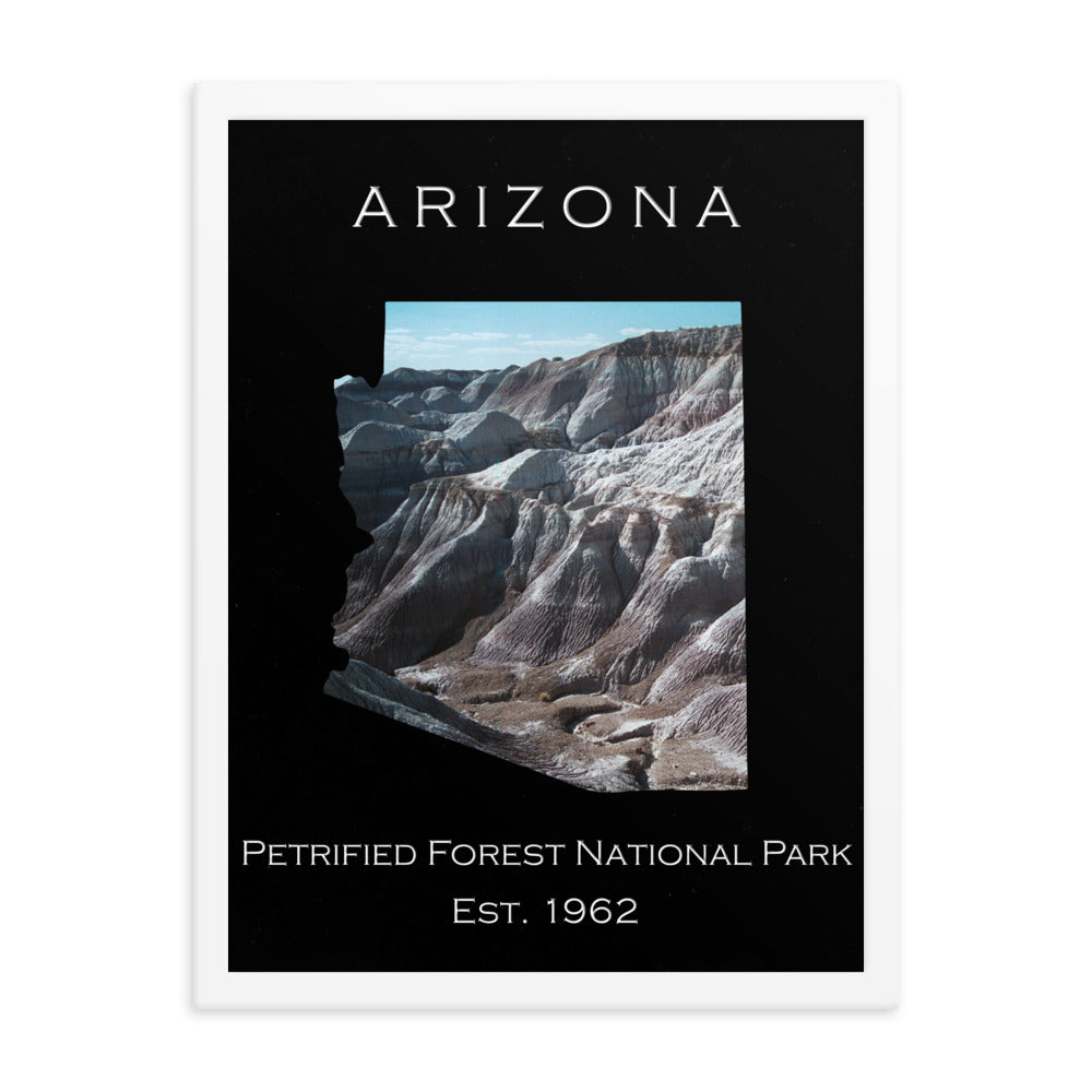 Petrified Forest National Park - Black - Color - Framed