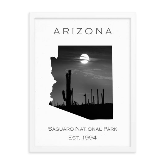 Saguaro National Park - White - Black and White - Framed