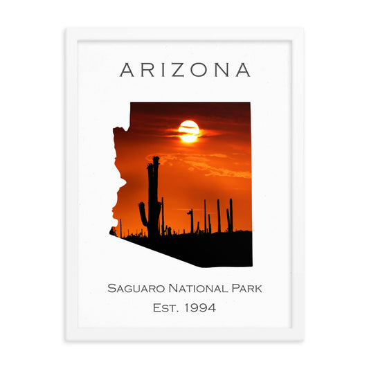 Saguaro National Park - White - Color - Framed