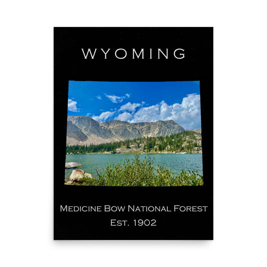 Medicine Bow National Forest - Black - Color