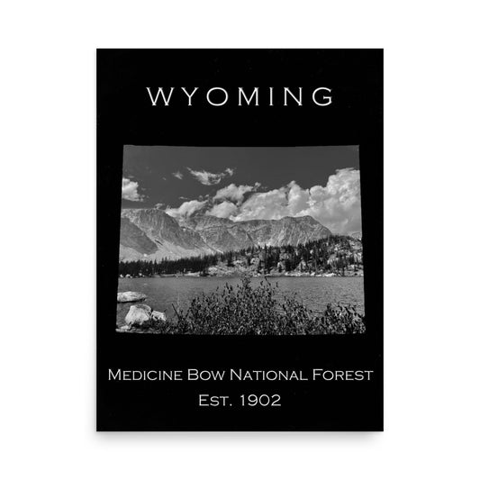 Medicine Bow National Forest - Black - Black and White