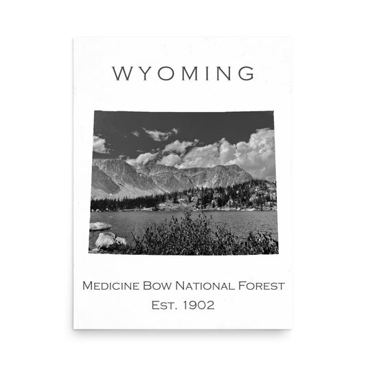 Medicine Bow National Forest - White - Black and White