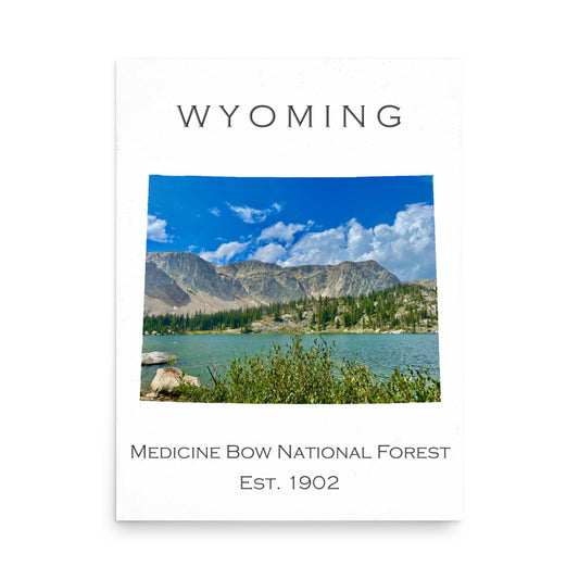 Medicine Bow National Forest - White - Color