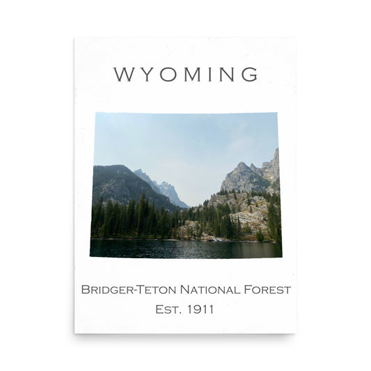 Bridger-Teton National Forest - White - Color