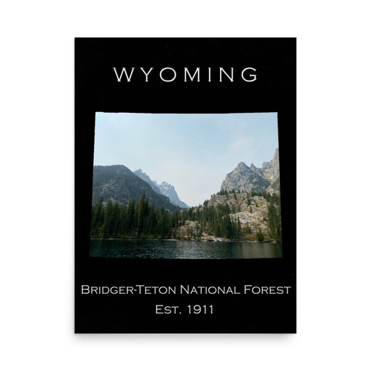 Bridger-Teton National Forest - Black - Color