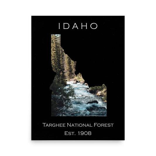 Targhee National Forest - Black - Color