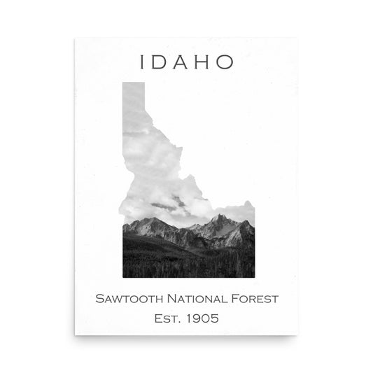 Sawtooth National Forest - White - Black and White