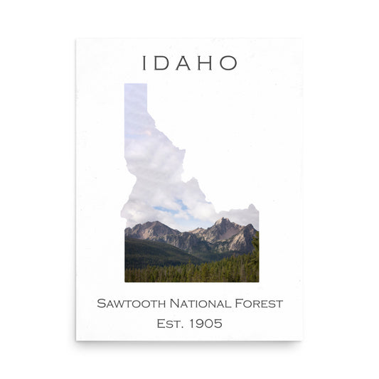 Sawtooth National Forest - White - Color