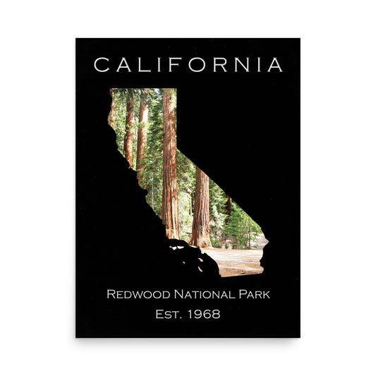 Redwood National Park - Black - Color