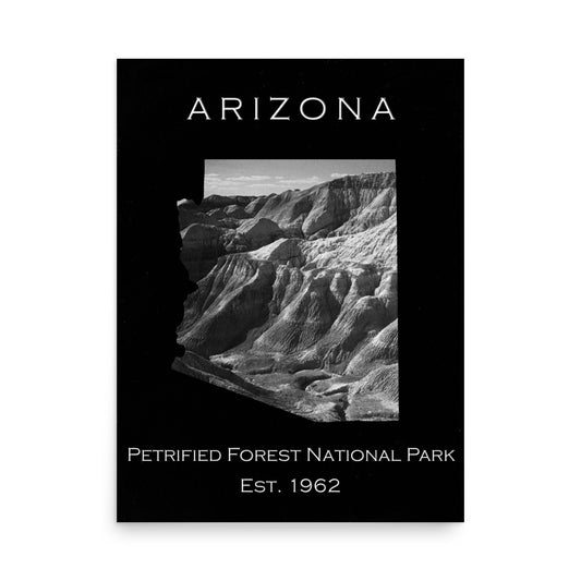 Petrified Forest National Park - Black - Black and White