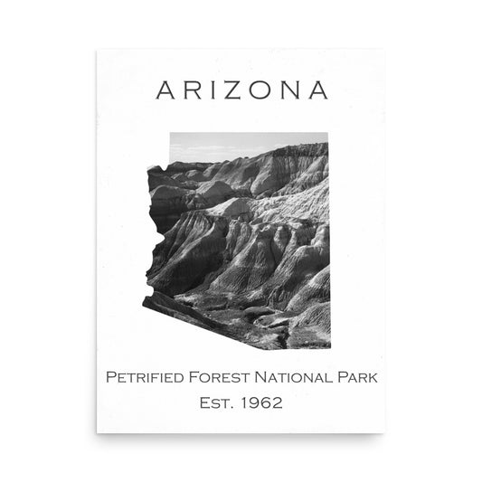 Petrified Forest National Park - White - Black and White