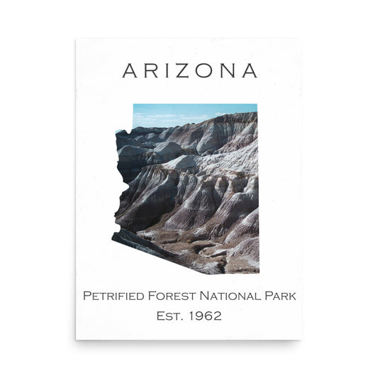 Petrified Forest National Park - White - Color