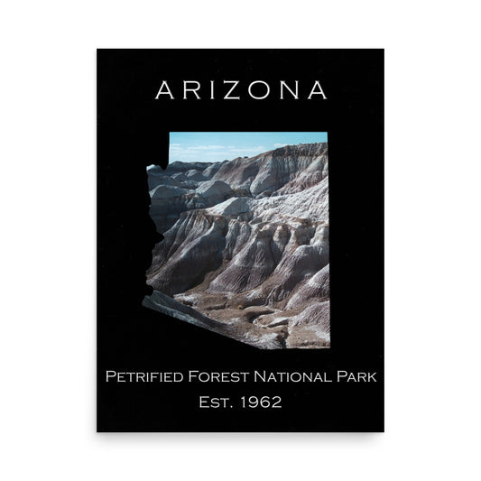 Petrified Forest National Park - Black - Color